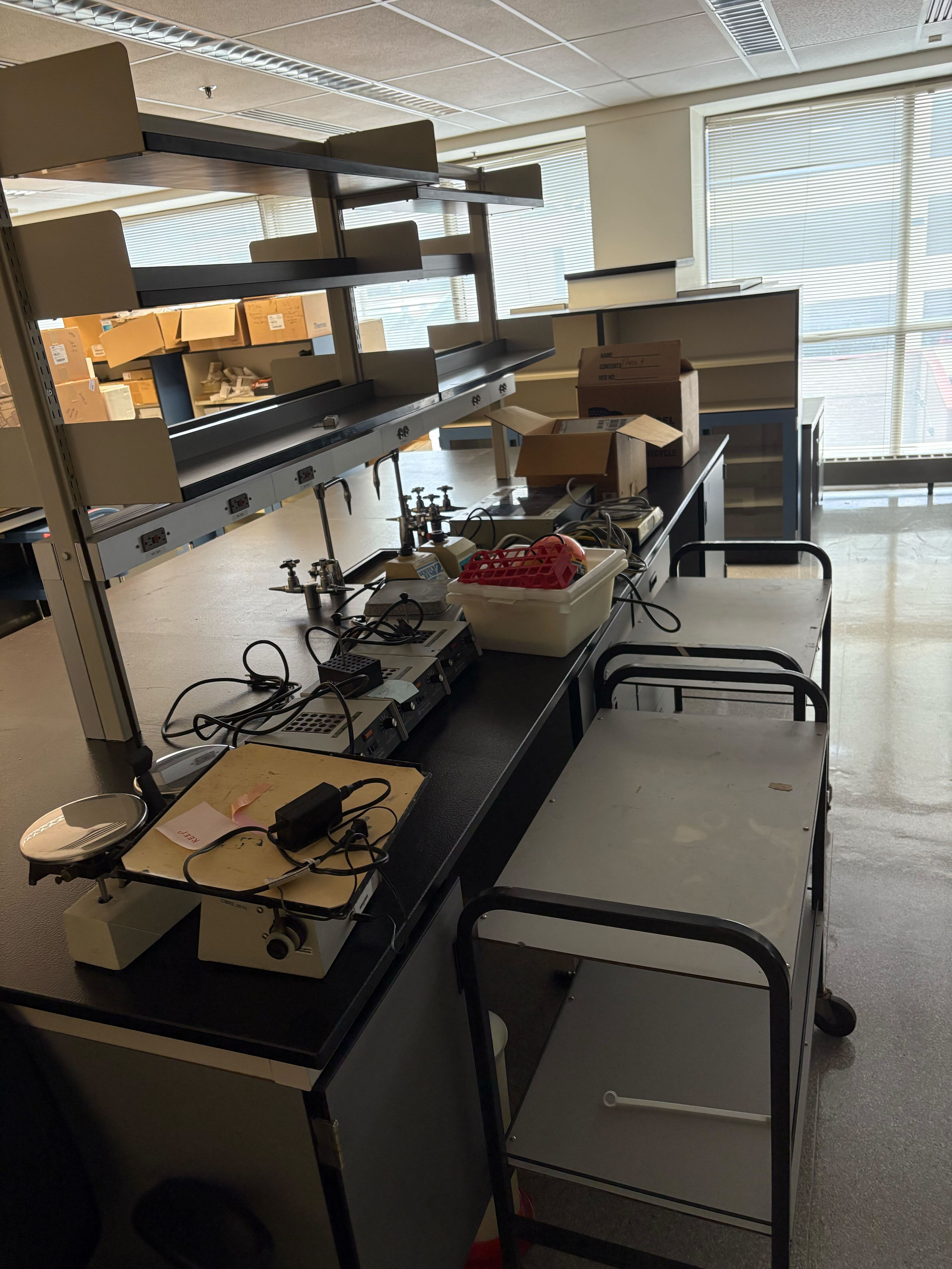 The Lab Opens! image