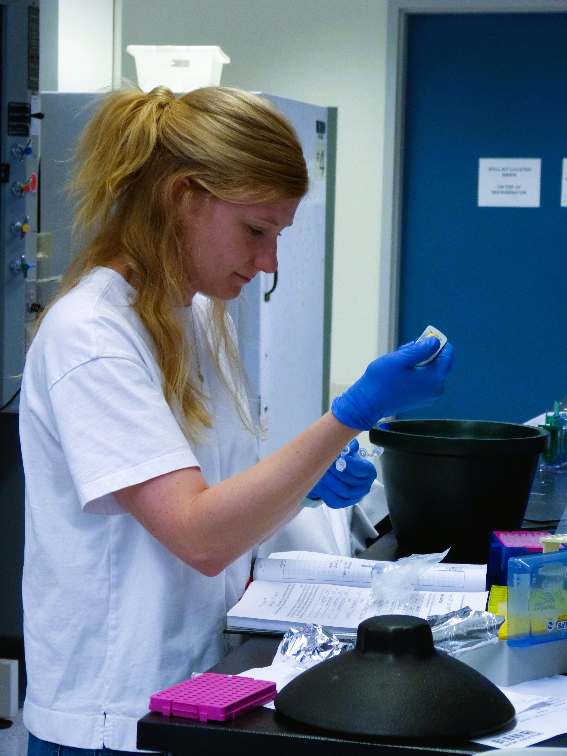 Madeline joins the lab image