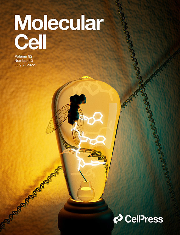 Image for Mpe1 senses the binding of pre-mRNA and controls 3' end processing by CPF
