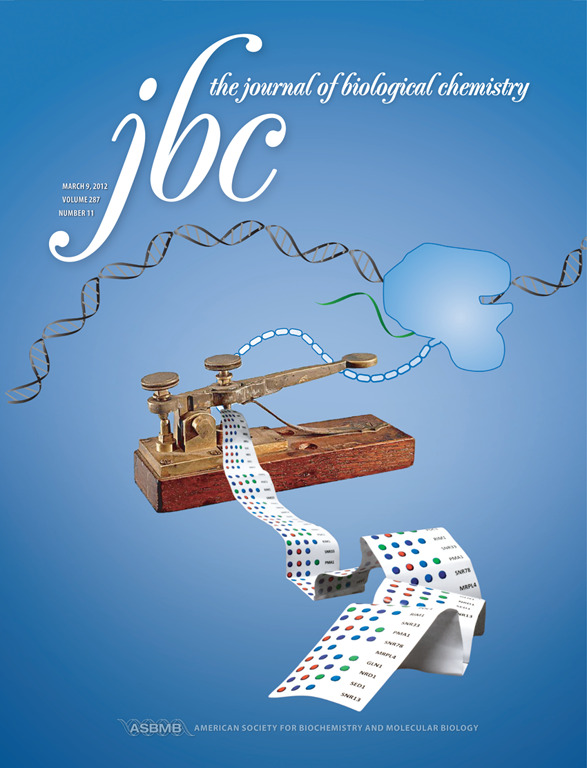 Image for Ssu72 phosphatase-dependent erasure of phospho-Ser7 marks on the RNA polymerase II C-terminal domain is essential for viability and transcription termination